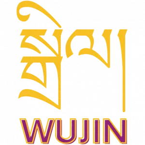 WUJIN 1376 logo
