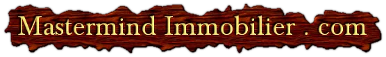 MASTERMIND IMMOBILIER logo