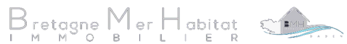 B M H IMMO logo