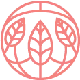ROCHE ISABELLE logo