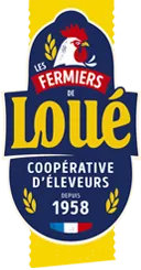 DLB logo