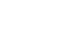 PLENI logo