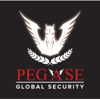 PEGASE GLOBAL SECURITY (PGS) logo