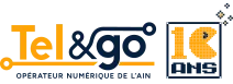 LG-NET SAS logo