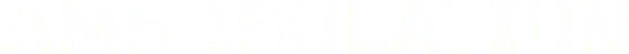 AMS CONSULTING logo