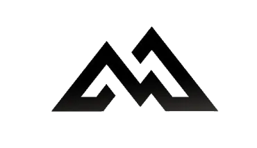 ALPES MASIS DEMENAGEMENT logo