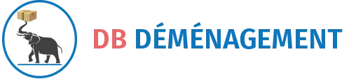DB DEMENAGEMENT logo