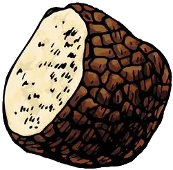 LA TRUFFE DE JACOTTE logo