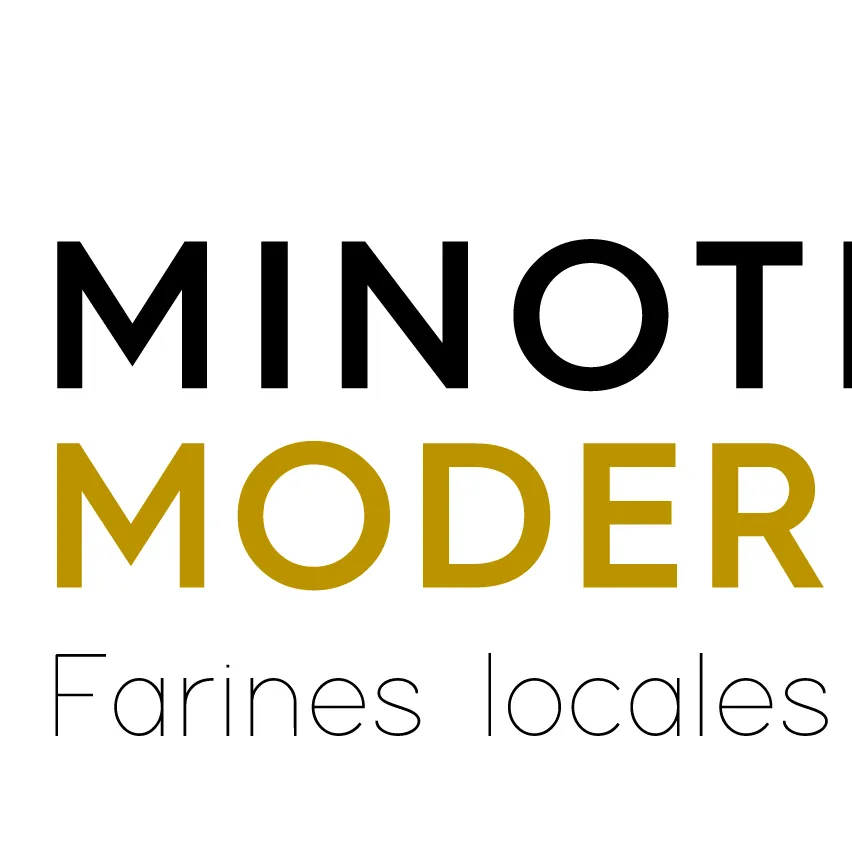 SA MINOTERIE MODERNE logo