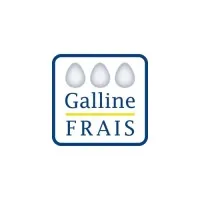 Voici le logo de la marque GALLINE FRAIS qui représente son identité graphique.
