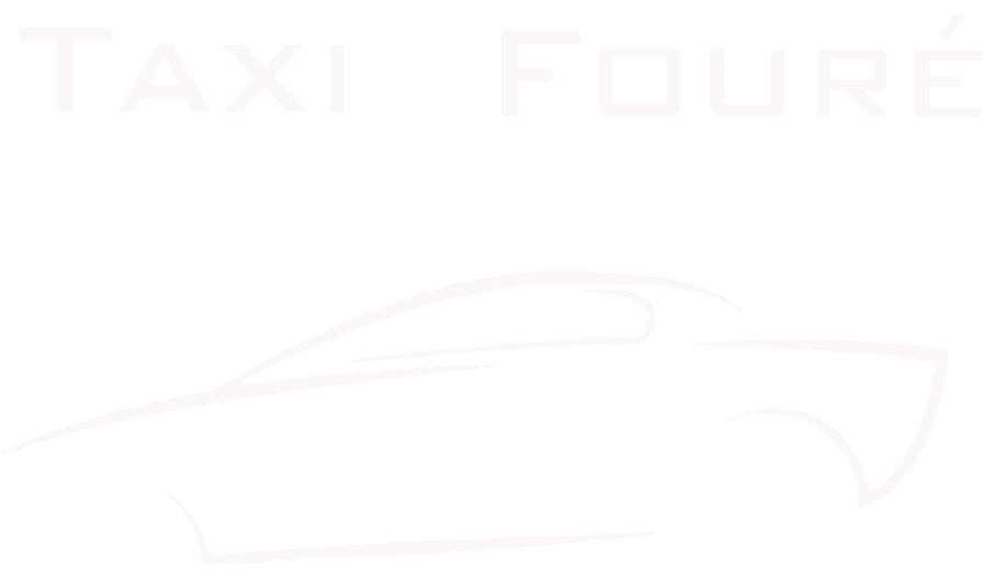 FOURE GEOFFROY logo