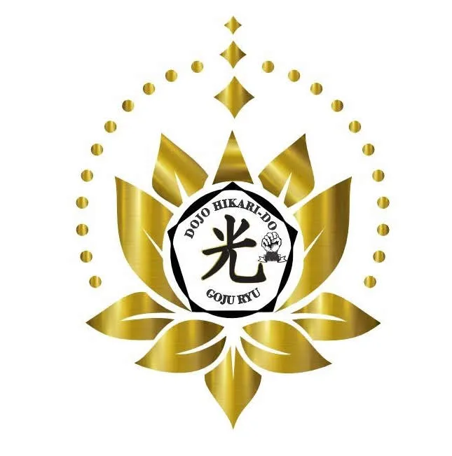 HIKARI DO logo