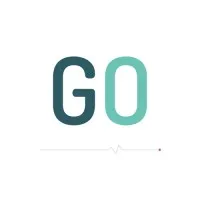 OPTIMERGO logo