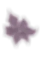 LES DOUCEURS DE VIRGINIE logo