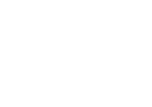 THE ROADTRIPPERS logo