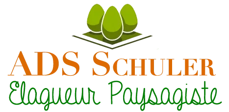 SCHULER DAVID logo