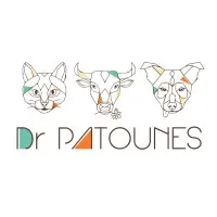 DR PATOUNES logo