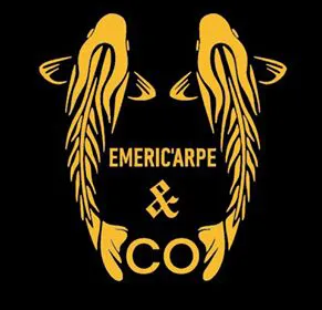 EMERIC'ARPE & CO logo