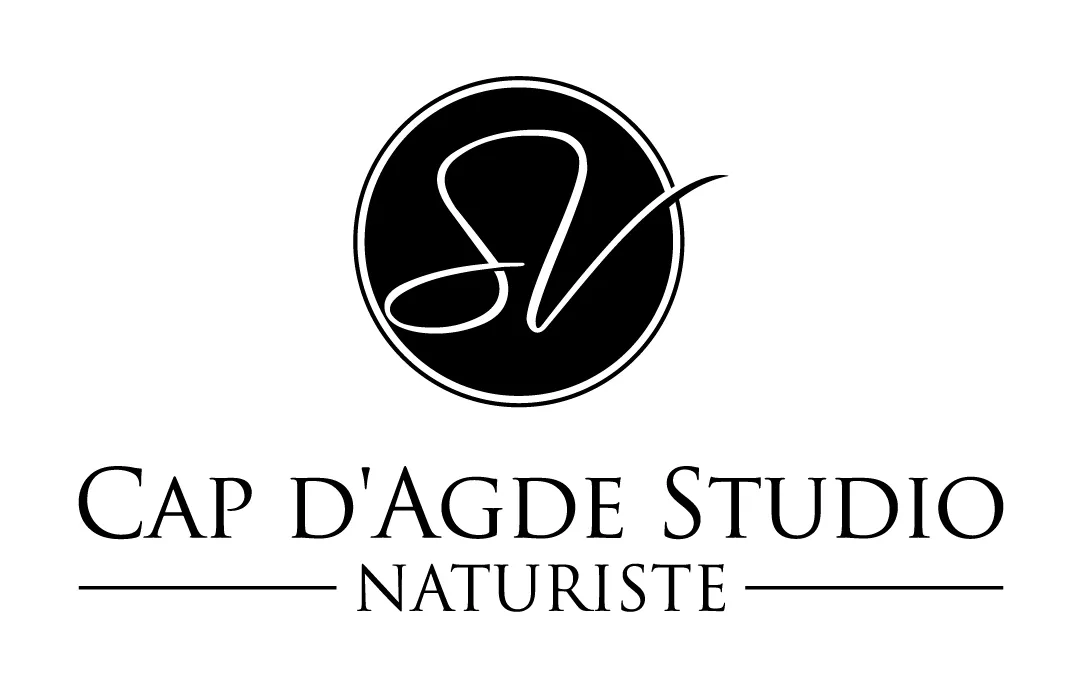 CAPISSI logo