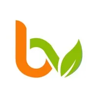 BRIC A VRAC logo