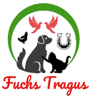 EURL FUCHS logo