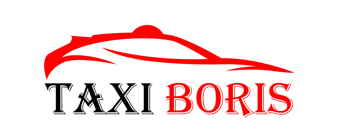 TAXI BORIS logo