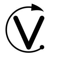 VICOIN GROUP logo