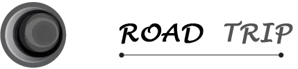 DAMIEN PETIT logo