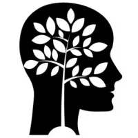 DONNONS DU SENS (DDS) logo