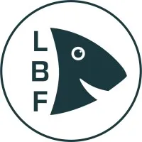 LITTLE BIG FISH logo