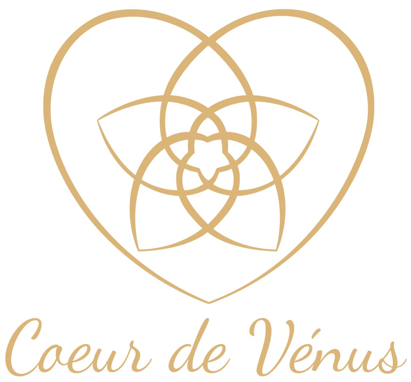 FLEUR DE VENUS logo