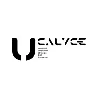 CALYCE AGENCY logo