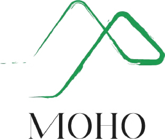 MOHO MOUNTAIN HOME (MMH) logo