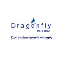 DRAGONFLY-INTERIM logo