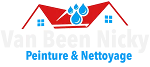VAN BEEN NICKY logo