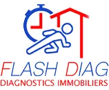 FLASH DIAG logo
