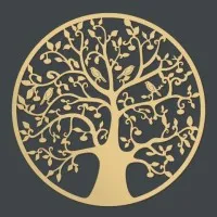VANESSA TILLIE IMMOBILIER logo