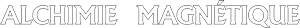 VERDUCI VERONIQUE logo