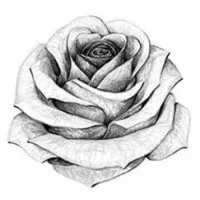 THE FRENCH PERFUMERY logo