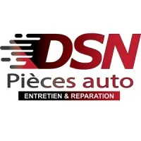 DSN PIECES AUTO logo