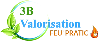 3B VALORISATION logo