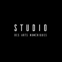 STUDIO DES ARTS NUMERIQUES logo