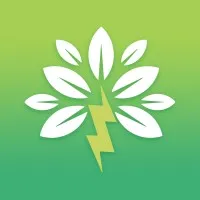LA FORCE VERTE logo