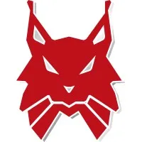 LYNX INTERNATIONAL logo