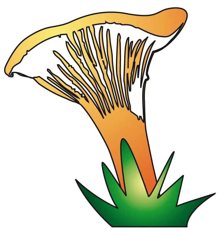 GAILLARD CAMPING logo