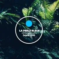 PERLE BLEUE ILK logo