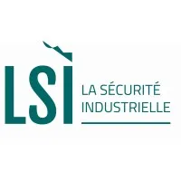 LSI logo