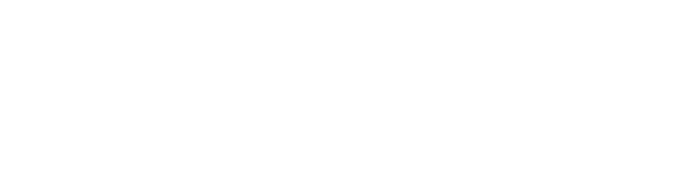 HOLISTIC TENNIS logo
