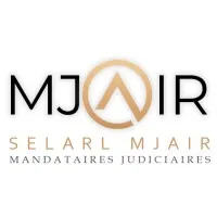 MJ AIR logo