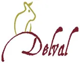 SOLES logo